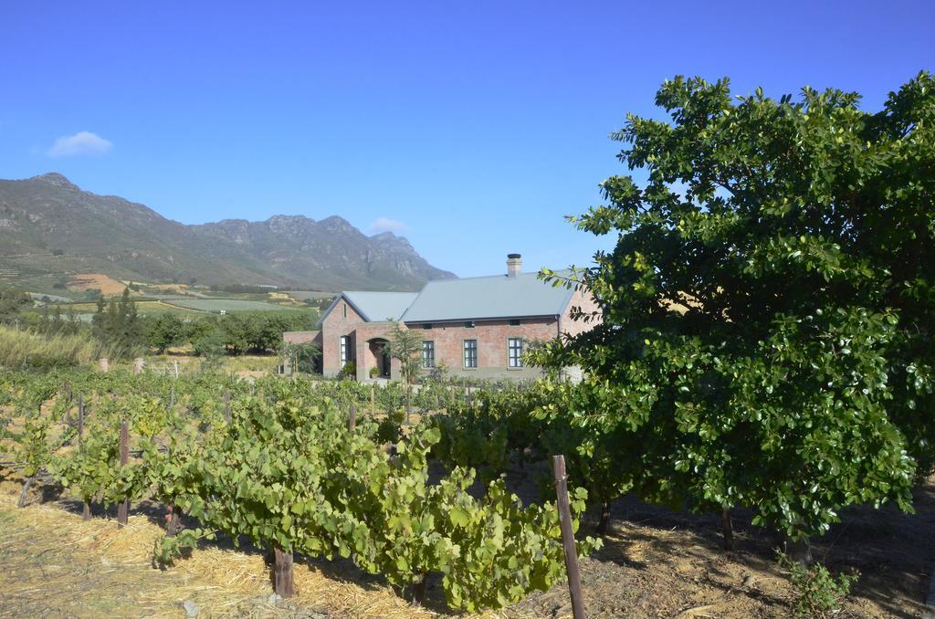 Vineyard Views Country House Riebeek-Kasteel Ngoại thất bức ảnh