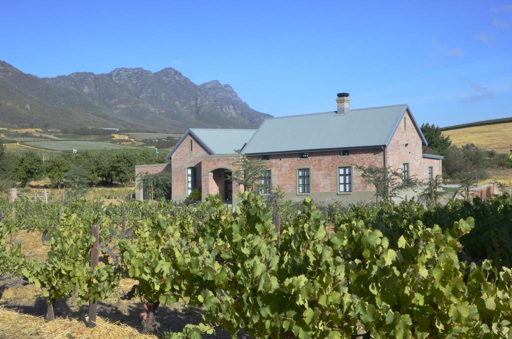 Vineyard Views Country House Riebeek-Kasteel Ngoại thất bức ảnh