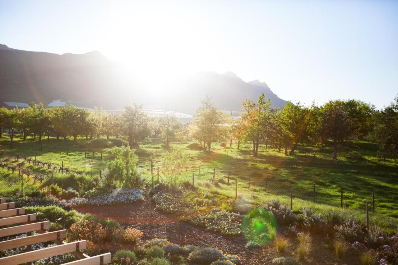 Vineyard Views Country House Riebeek-Kasteel Ngoại thất bức ảnh