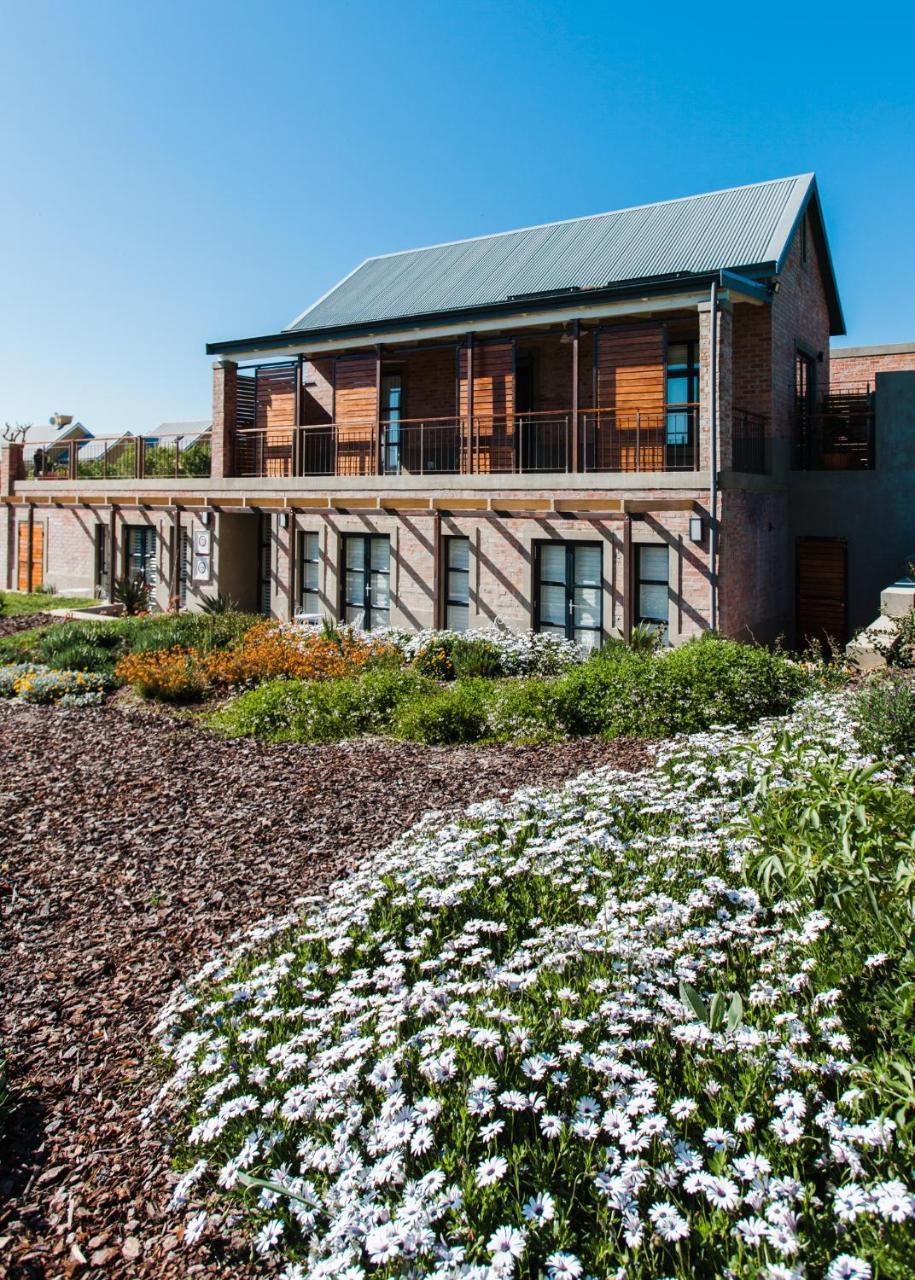 Vineyard Views Country House Riebeek-Kasteel Ngoại thất bức ảnh