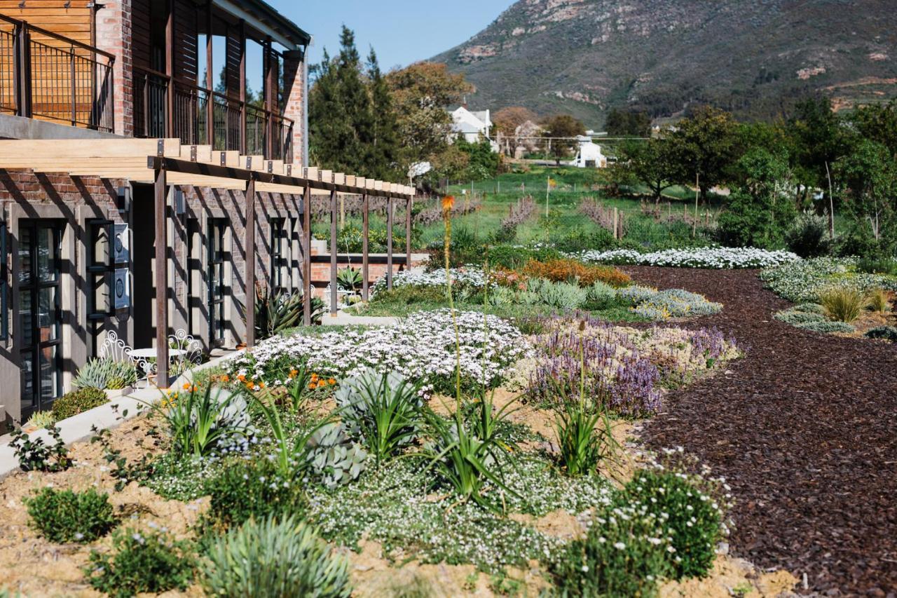 Vineyard Views Country House Riebeek-Kasteel Ngoại thất bức ảnh