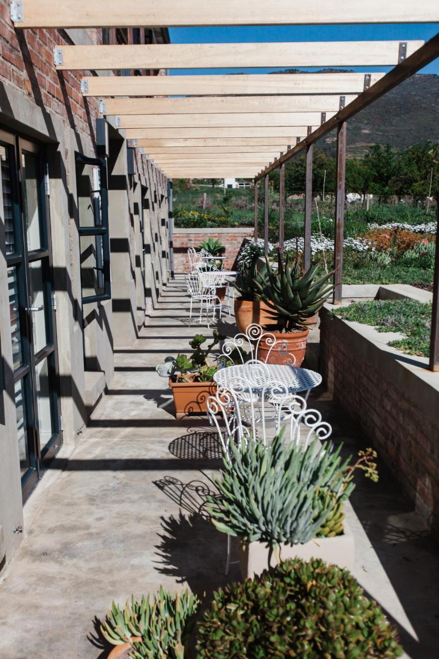 Vineyard Views Country House Riebeek-Kasteel Ngoại thất bức ảnh
