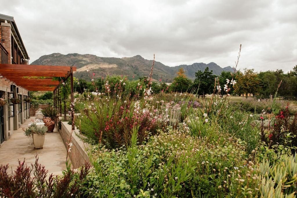 Vineyard Views Country House Riebeek-Kasteel Ngoại thất bức ảnh
