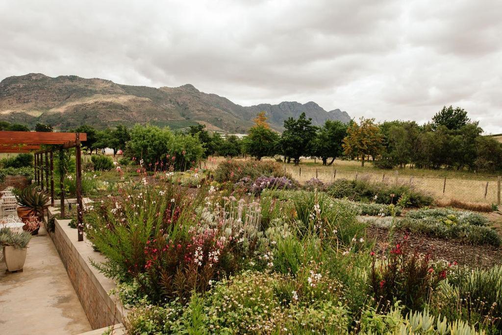 Vineyard Views Country House Riebeek-Kasteel Ngoại thất bức ảnh