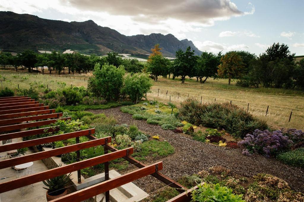 Vineyard Views Country House Riebeek-Kasteel Ngoại thất bức ảnh