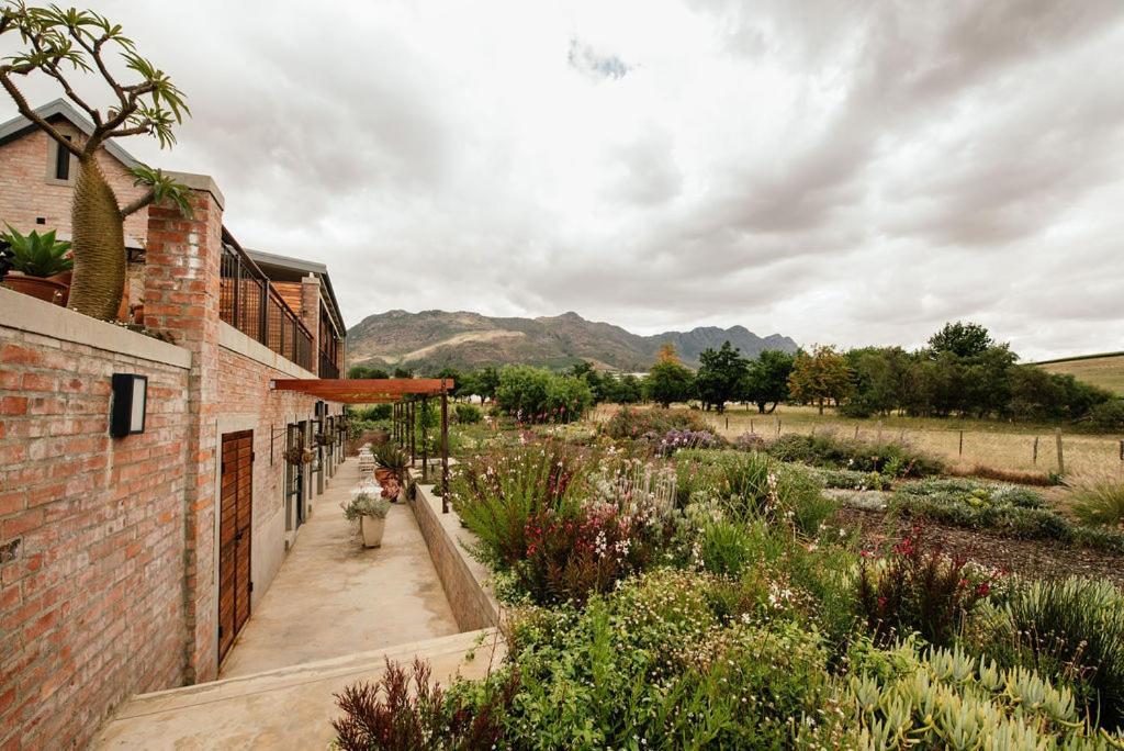 Vineyard Views Country House Riebeek-Kasteel Ngoại thất bức ảnh
