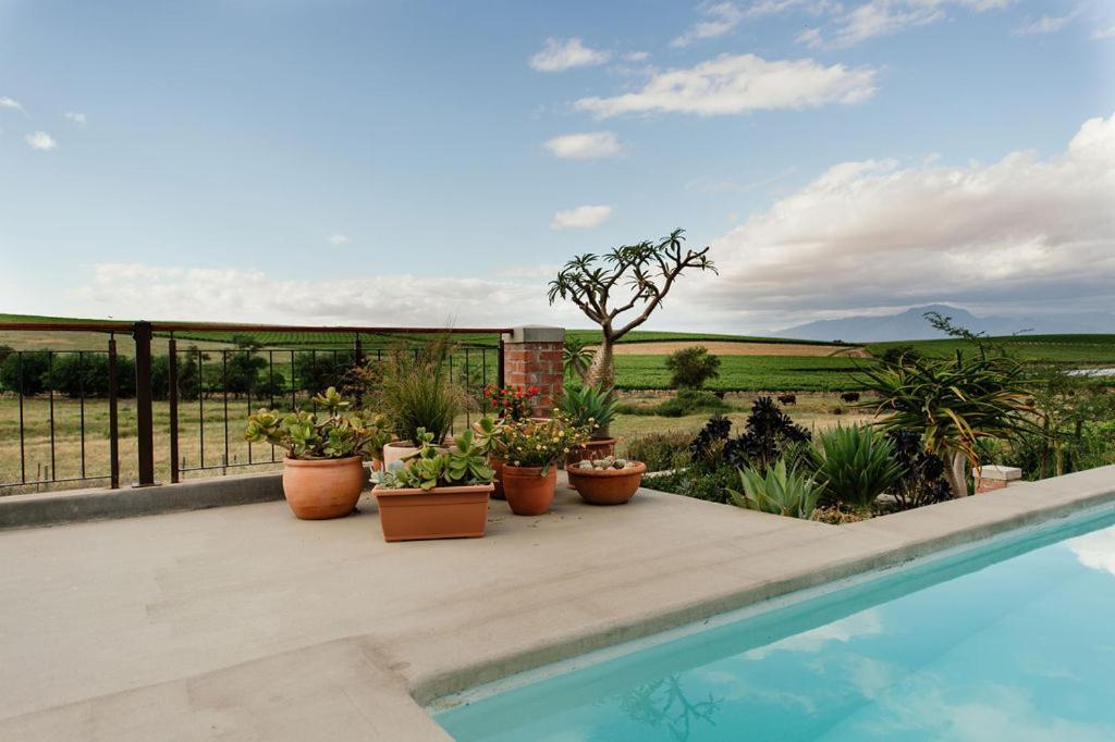 Vineyard Views Country House Riebeek-Kasteel Ngoại thất bức ảnh